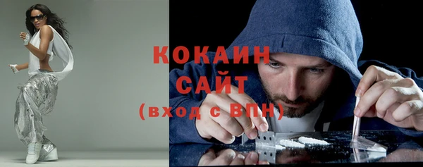 гашик Бородино