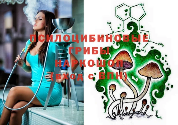 гашик Бородино