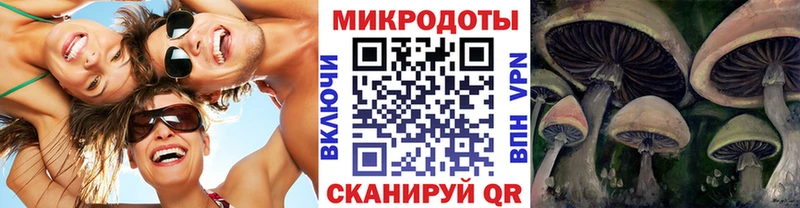 Галлюциногенные грибы Cubensis  даркнет сайт  Острогожск 